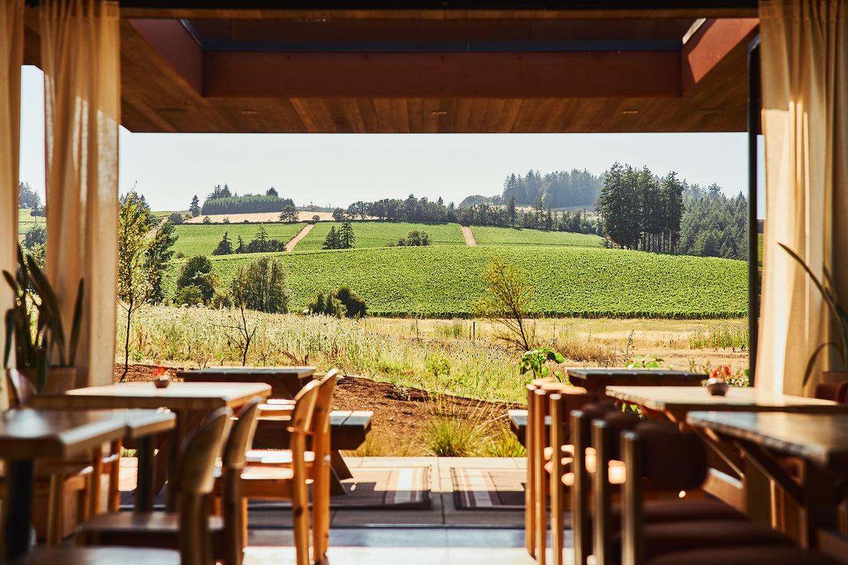An open-air restaurant interior with wooden tables and chairs overlooking a lush green vineyard landscape under a clear blue sky.