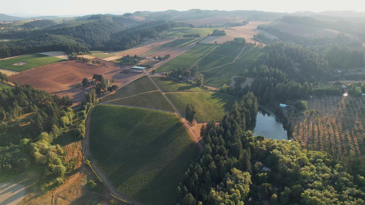 Aerial view of Lingua Franca Estate