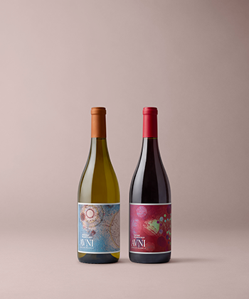 The Avni Gift Set